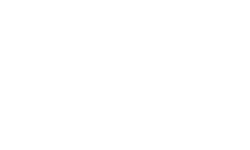 The One Logo blanco